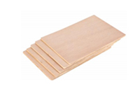 ���B(t��i)���������Щ��ʩ��